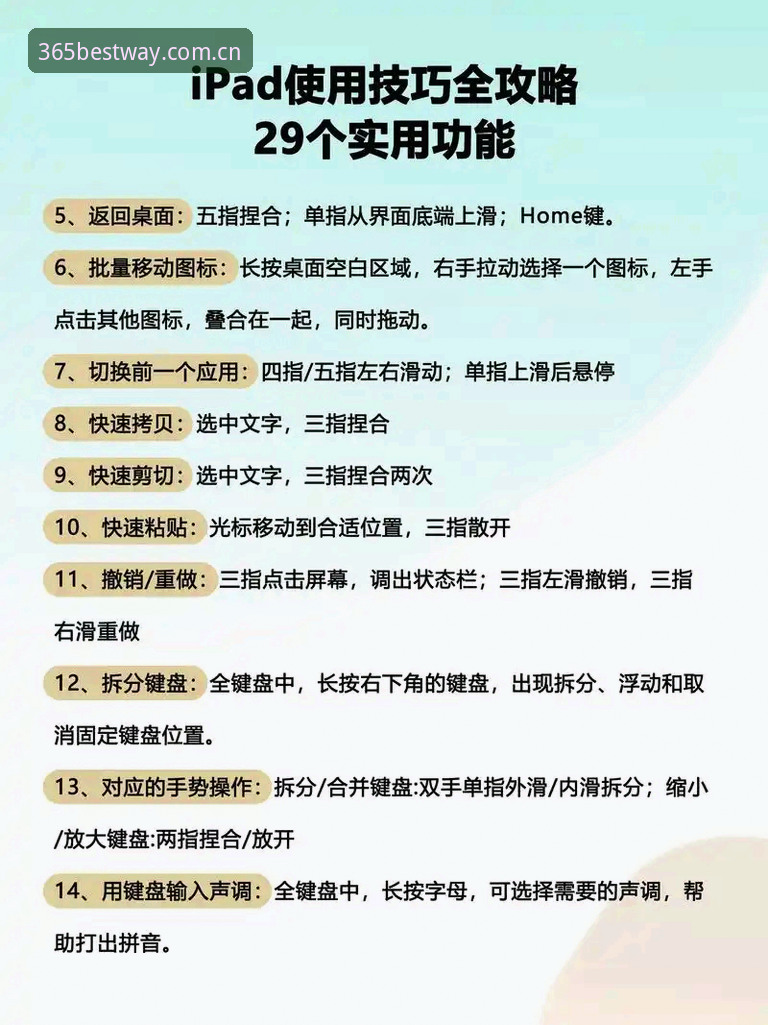 最佳365app操作教程：从下载到高效使用的完整指南